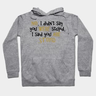 No, I Didn't Say You Were Stupid... Hoodie